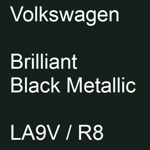 Volkswagen, Brilliant Black Metallic, LA9V / R8.